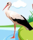 0600u70r-f3f8-136x163.png