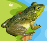 0600u718-5302-153x133.png