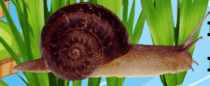 0600u720-6907-210x86.png