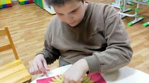 « Трудове навчання як ефективний засіб соціалізації дітей з ООП та РАС»