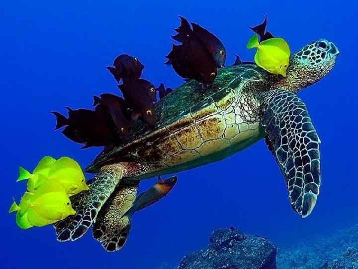 0600u8rn-8adc-720x540.jpg