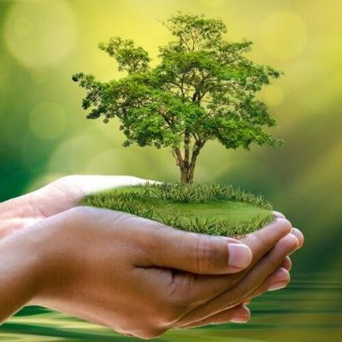 Stream episode Ecologie de l'homme 2022-09-09 La nature humaine by Radio Maria France podcast | Listen online for free on SoundCloud