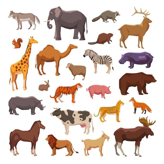 Wild Animals Images - Free Download on Freepik
