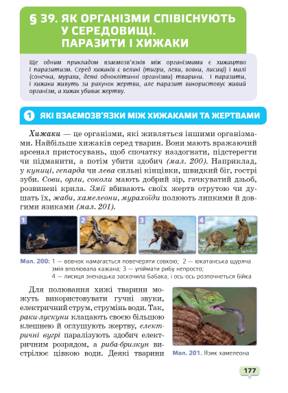0600uc97-9933-420x574.png