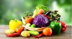 Fresh Vegetables Supplier & Exporter India - Greeble Agro Export