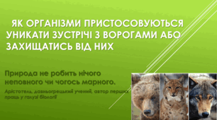 Як організми пристосовуються уникати зустрічі з ворогами або захищатись від них.