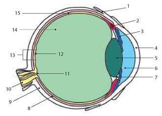 0600uild-1d72-331x236.jpg