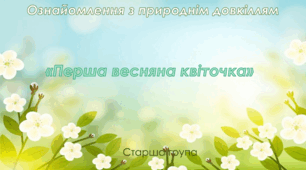 Ознайомлення з природнім довкіллям.Старша група "Перша весняна квіточка"