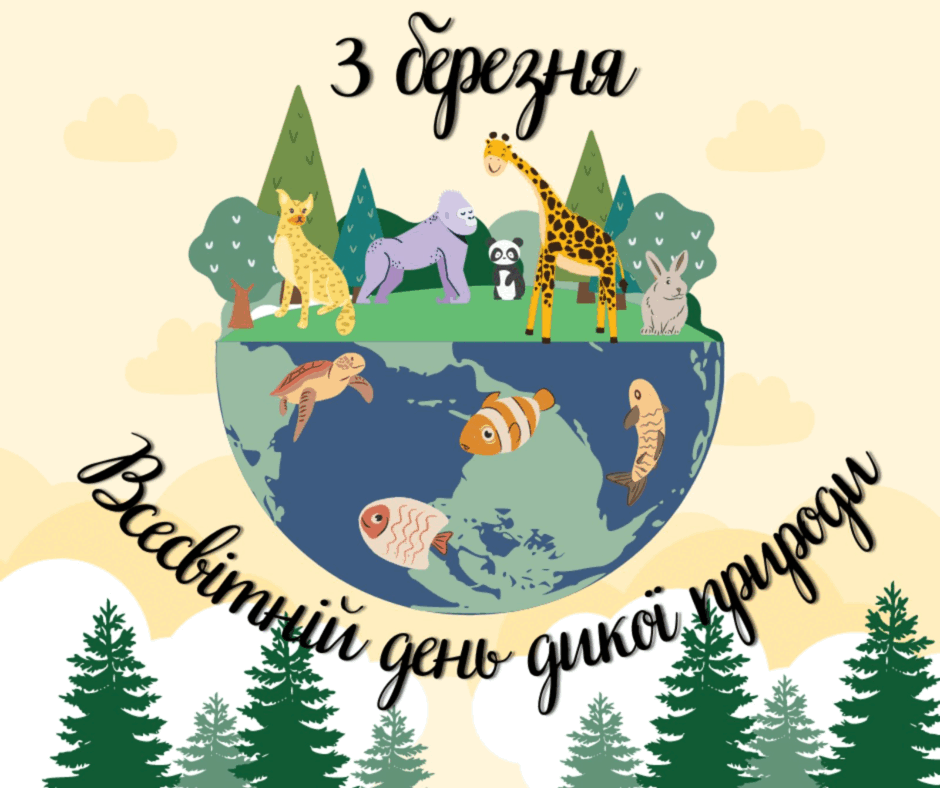 0600v9lt-06e5-940x788.png