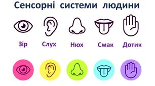 Загальна характеристика сенсорних систем