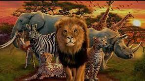 Prepare 6. Unit 16. AMAZING ANIMALS