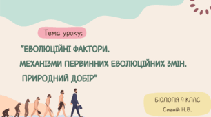 Презентація "Еволюційні фактори. Механізми первинних еволюційних змін. Природний добір" 9 клас