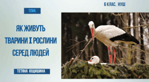 Презентація. 6 клас. Як живуть тварини і рослини серед людей.