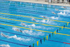 Olympic swimming pool size: all you need to know - Fluidra