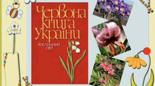 Відео заняття з ознайомлення з навколишнім світом «Червона книга України. Рослинний світ»