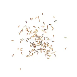 0600vxlg-d95f-245x245.webp