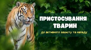 Презентація до уроку біології на тему "Пристосування тварин до активного захисту та нападу"