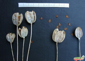 0600vy8r-7cf3-279x201.jpg