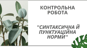 Контрольна робота "Синтаксична й пунктуаційна норми"