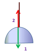 0600w1cg-83b2-121x173.png