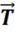0600w1fk-f37d-15x35.png
