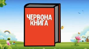 Відео заняття ознайомлення дітей з навколишнім світом «Червона книга України. Тваринний світ.»