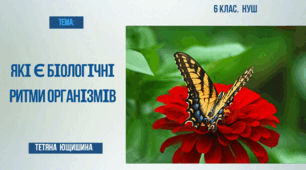 Презентація. 6 клас. Які є біологічні ритми організмів.
