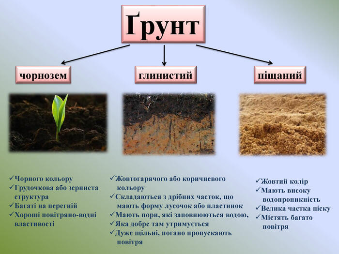 0600w2x2-5f64-700x525.jpg