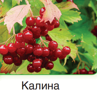 0600w37u-5ac9-332x306.png