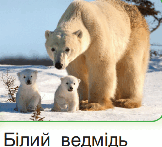 0600w3c5-f55b-334x304.png