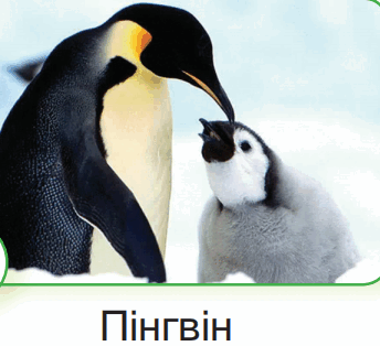 0600w3e6-b520-344x314.png