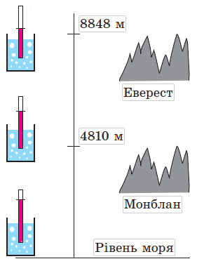 0600w3eo-d50b-290x391.png