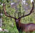0600w601-f2fd-50x47.jpg