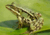 0600w61w-1783-50x35.png
