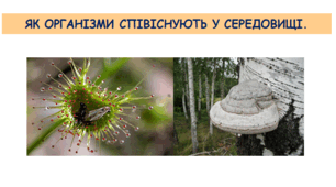 Як організми співіснують у середовищі. ( 6 клас "Пізнаємо природу" &38-39)
