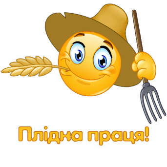 0600wdb3-1ee1-342x342.png
