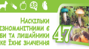 Наскільки різноманітними є гриби та лишайники і яке їхнє значення.