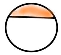 0600wf0e-1945-204x185.png