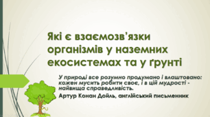 Які є взаємозв’язки організмів у наземних екосистемах та у ґрунті