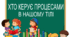 Практична робота "Хто керує процесами в нашому тілі". 5 клас