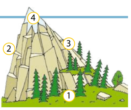 0600wmhi-7433-442x371.png