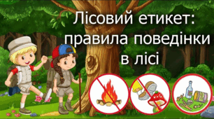 Правила поведінки в природі