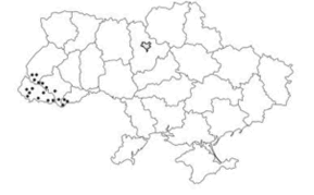 0600wo8g-7bce-289x179.png