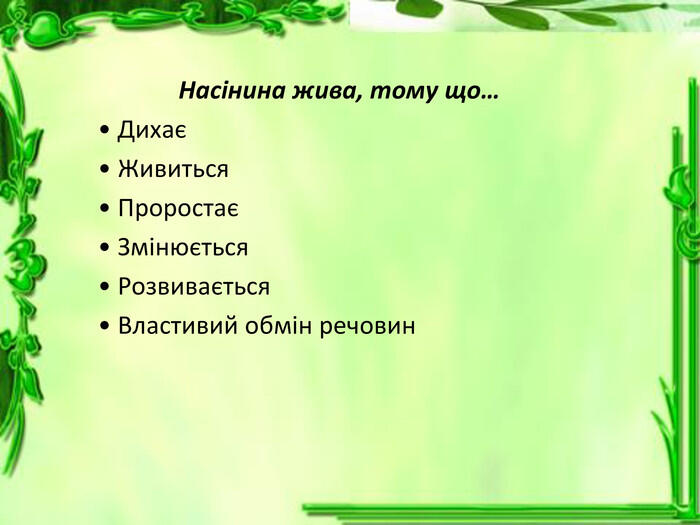 0600wol4-919f-700x525.jpg