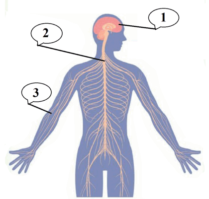 0600wpfg-d0e5-940x896.png