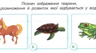 ЯПС 3 клас. Діагностувальна робота. Тема "Тварини"