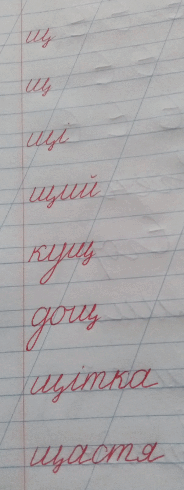 0600wrzs-07ee-603x1600.png