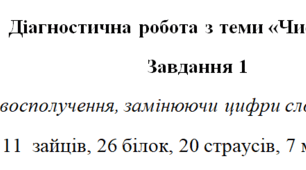 Діагностична робота з теми "Займенник"