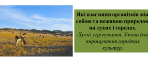 Презентація для 6 класу на тему " Які взаємини організмів між собою та неживою природою на луках і городах.  Лучні угрупування. Умови для вирощування городних культур"