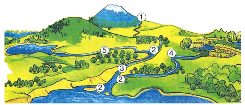 0600wudd-5739-940x406.png